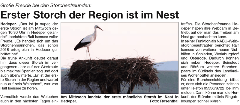 WF-SF_Erster-Storch-in-Region_2019-03-03